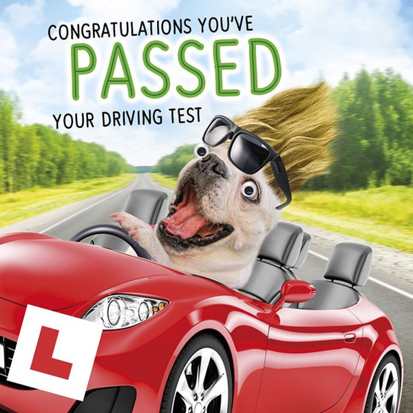 Driving Test Congrats - Puggy gets pulled over Greeting Card