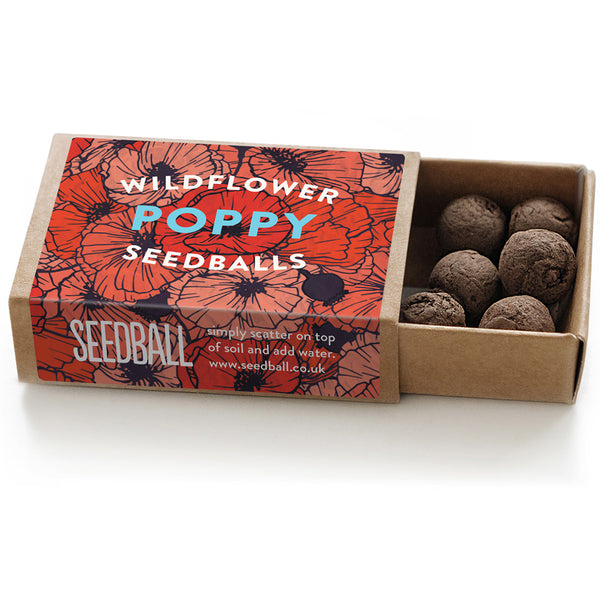 Poppy Seedball Matchbox x 1