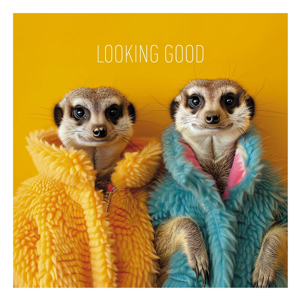 Coola Coola - Looking Good Card 16cm