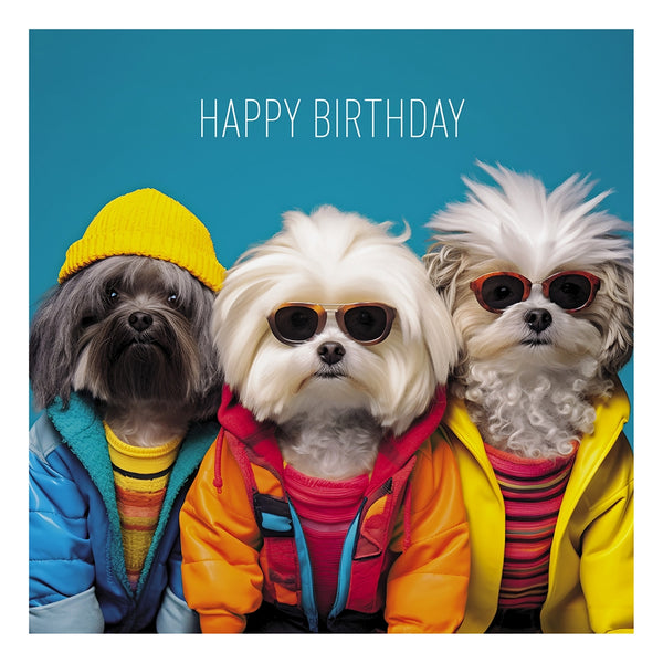 Coola Coola - Happy Birthday Dogs Card 16cm