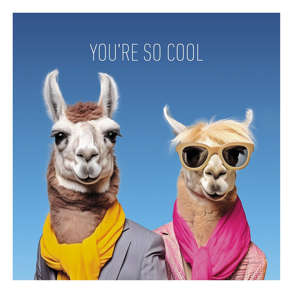 Coola Coola - You're So Cool Card 16cm