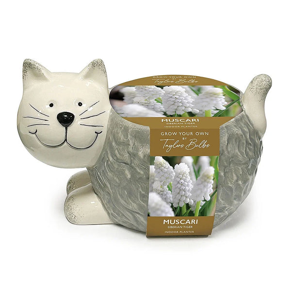 Novelty Cat Ceramic Planter