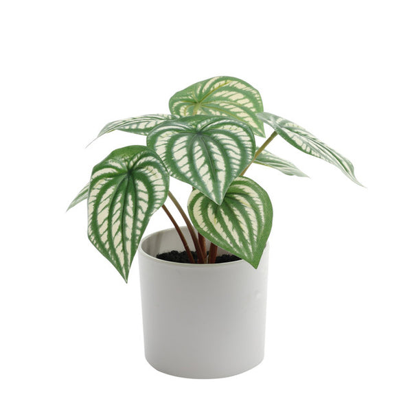 Faux/Artificial Calathea Potted House Plant (20cm)
