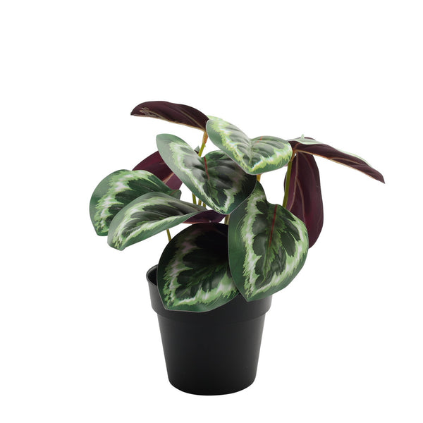 Faux/Artificial Plant Calathea Potted House Plant (22cm)