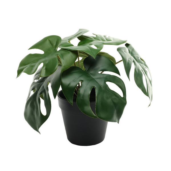 Faux/Artificial Plant Monstera Potted Houseplant (23cm)