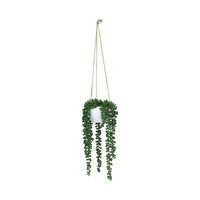 Faux/Artificial Plant Botanica Potted Hanging String of Pearls