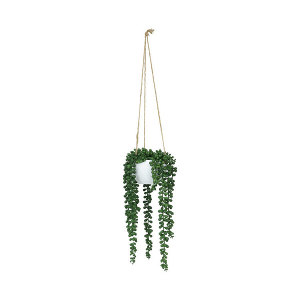 Faux/Artificial Plant Botanica Potted Hanging String of Pearls