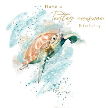 Turtle Greeting Card