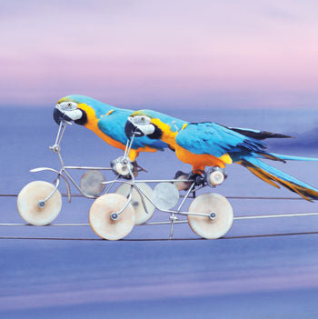 Blank - Parrots On Bikes Greeting Card