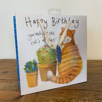 CATS WHISKERS MEDIUM SPARKLE GIFT BAG