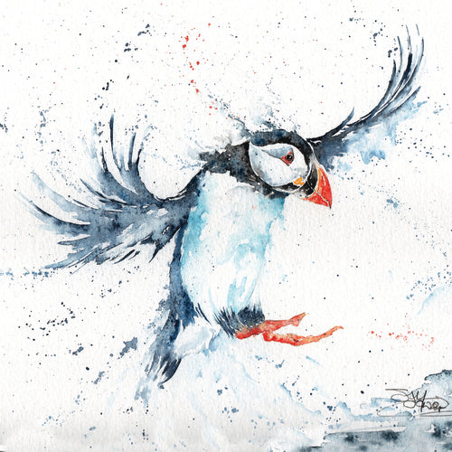 SANDI MOWER SQUARE CARDS - BLANK (PUFFIN)