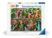 Cats on the Shelf, 500pc jigsaw Puzzle