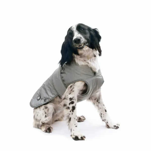 Muddy Paws Ultimate Reflective Coat Lge