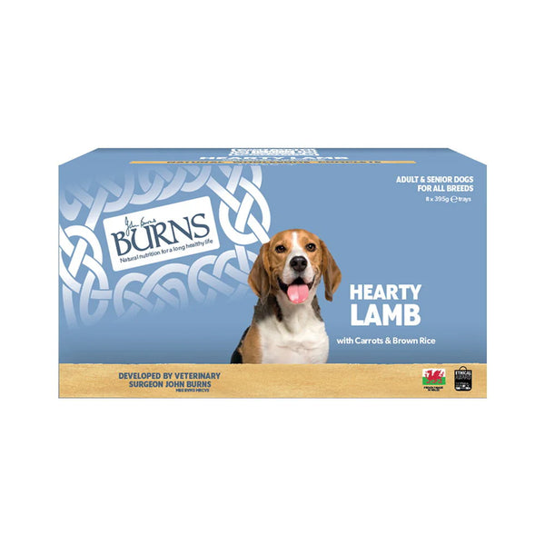 Burns Wholesome Lamb with Carrots & Organic Brown Rice 395g