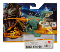 Jurassic World Ferocious   Assortment