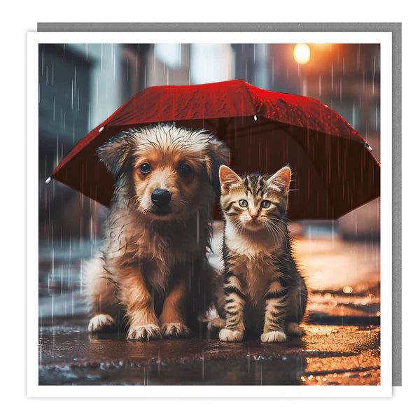 Blank Card Dog & Cat