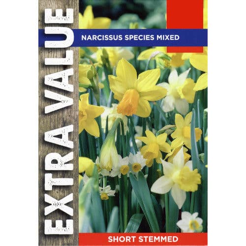 25 Narcissus Species Mixed Bulbs