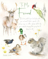 Friend Greeting Card