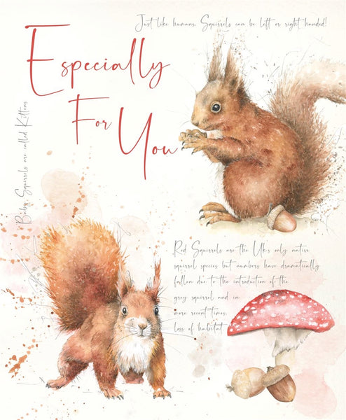 Open Birthday - Red Squirrel