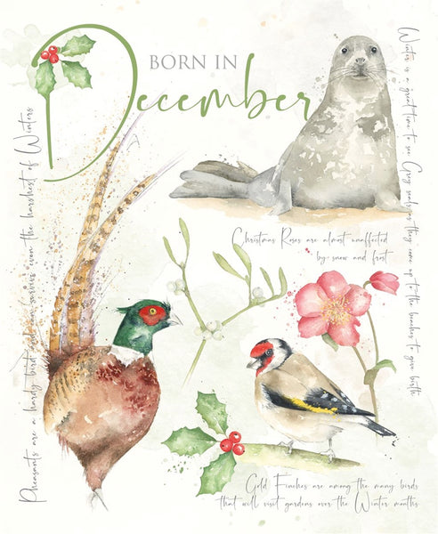 December Female Greeting Card