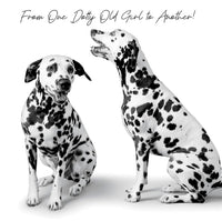 General -Open Humour-Dalmations