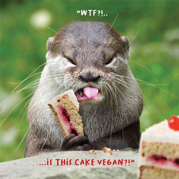 Greeting Card - Open Humour - General