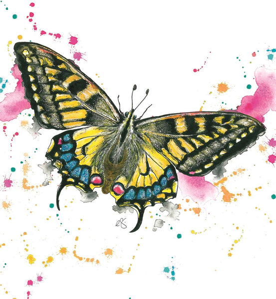 Butterfly -Blank Greeting Card