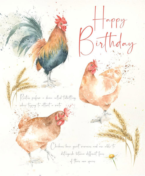 Open Birthday - Chickens