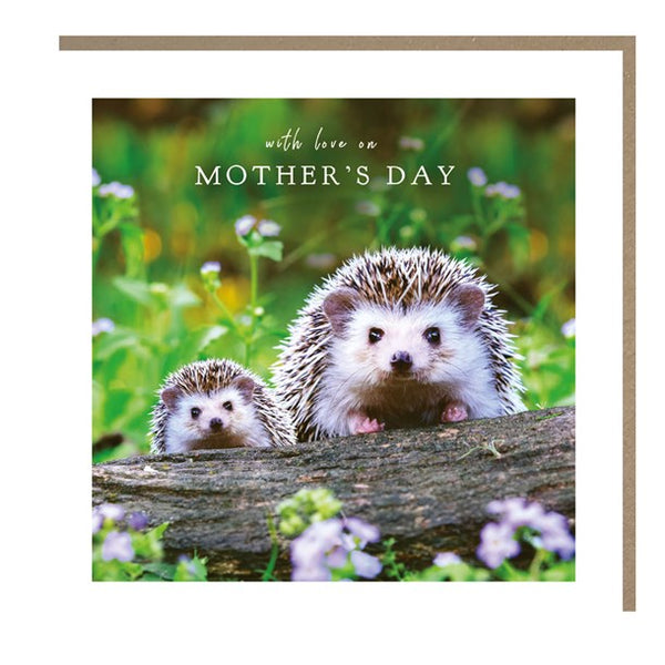 Mother's Day - Hedgehog's