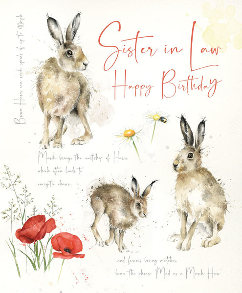 Sister in Law Greeting Card
