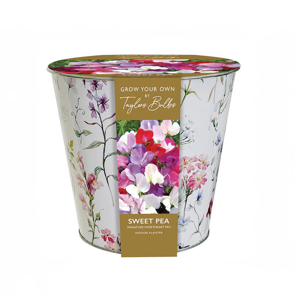 ZINC FLORAL SWEET PEA PLANTER