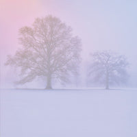 Settled Snow, Sunrise  blank card