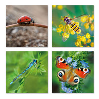 TWT Amazing Insects Notelets