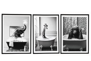 3asst Animal Bath Framed Canvas 60cm - PRICE FOR 1 FRAME