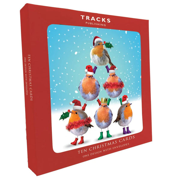 10 Charity Christmas cards - Robins