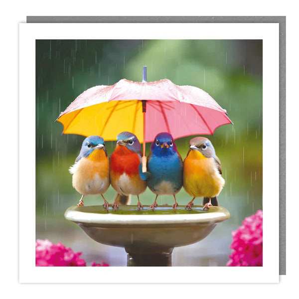 Blank Card  - Birds with umbrella