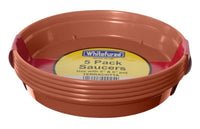 Whitefurze Saucer For 5 & 6" Pot Set Of 5 Terracotta