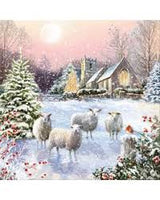 Christmas Morning Charity Cards Pk Of 6