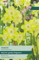 8 NARCISSUS VERDIN BULBS