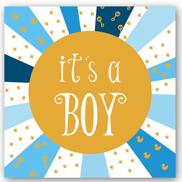 The Compost Heap - It's a Boy - Baby Birth Card