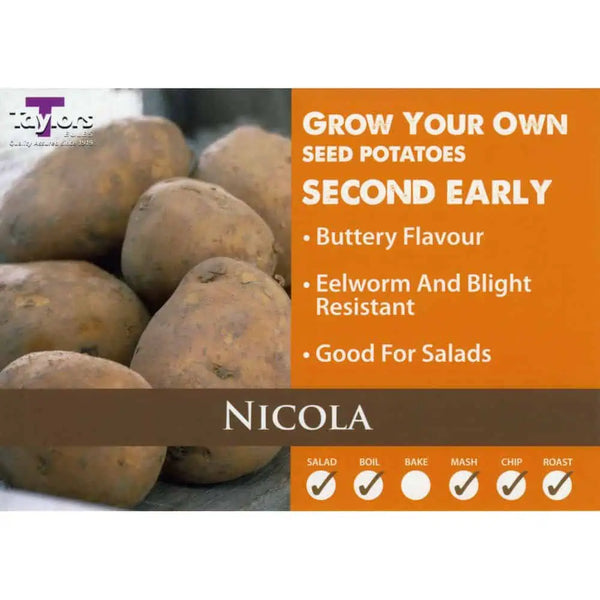 2kg Nicola Seed Potatoes - Second Early