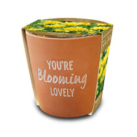 'BLOOMING LOVELY' TERACOTTA POT