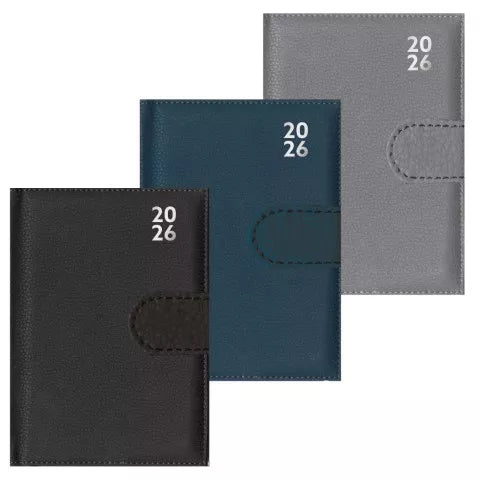 2026 (3 ASSORTED) PAGE A DAY POCKET PREMIUM DIARY WITH PEN AND FASTENER