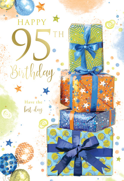 95th Birthday Male Greeting Card