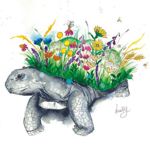 LOVE LILLY - BLANK (TORTOISE) GREETING CARD