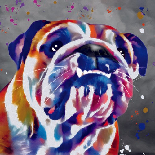 DEB BARKER - BLANK (BULLDOG) GREETING CARD