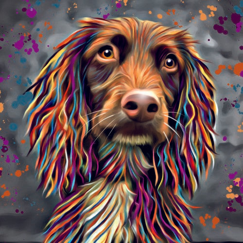 DEB BARKER - BLANK (SPANIEL) GREETING CARD