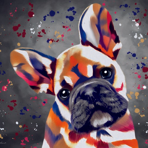 DEB BARKER - BLANK (FRENCH BULLDOG)  GREETING CARD