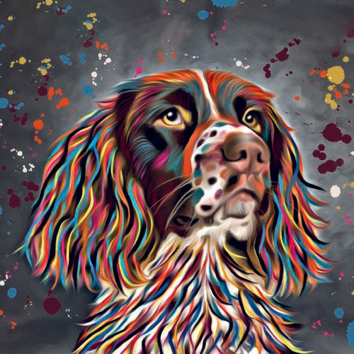 DEB BARKER - BLANK (SPRINGER SPANIEL) GREETING CARD