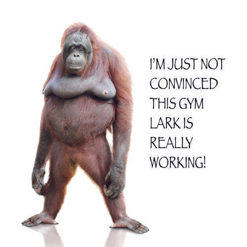 Funimals Monkey Blank Card